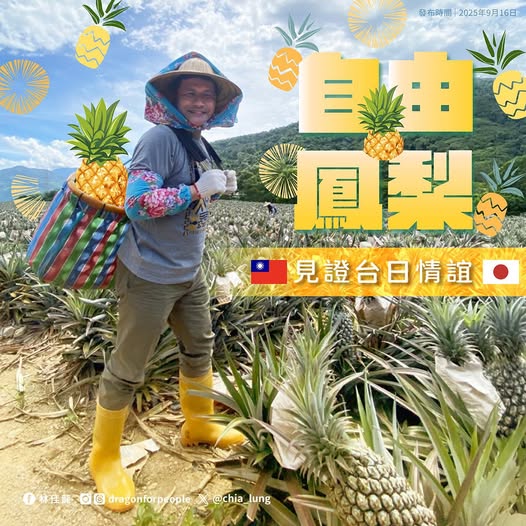 Taiwanパイナップル