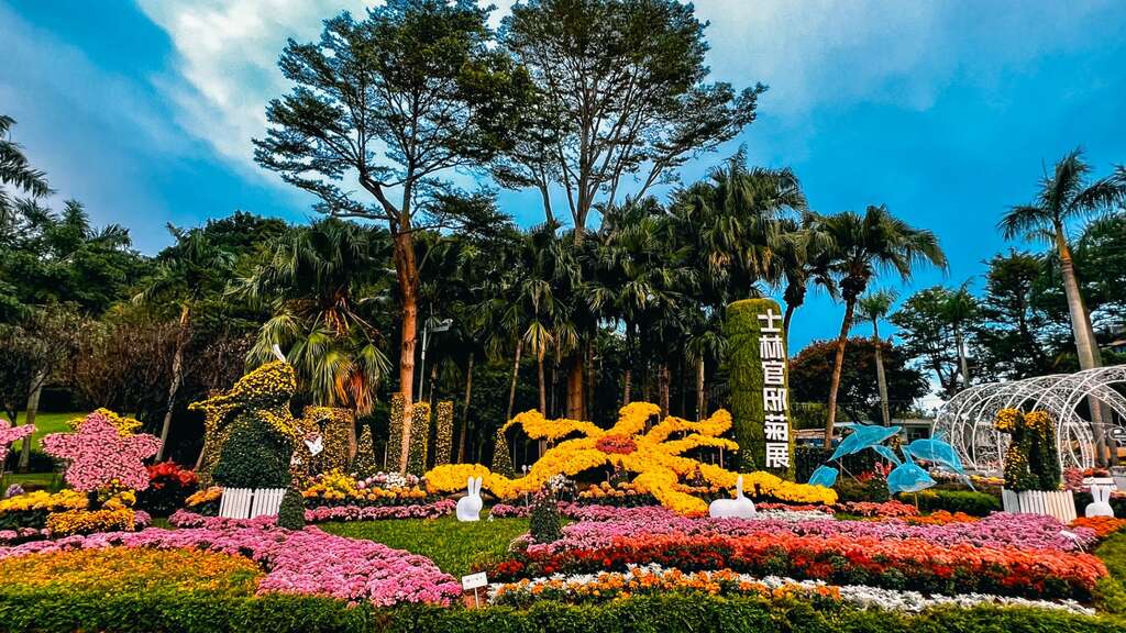 士林官邸菊展2024年